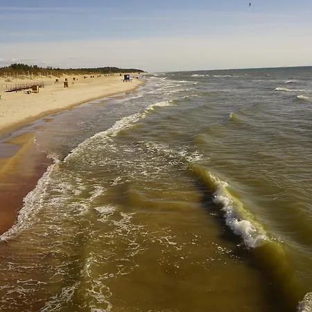 Alejos Namelis Διαμέρισμα