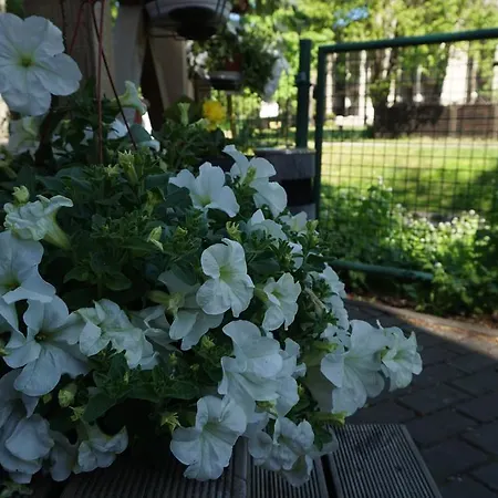 Alejos Namelis Διαμέρισμα Παλάγκα