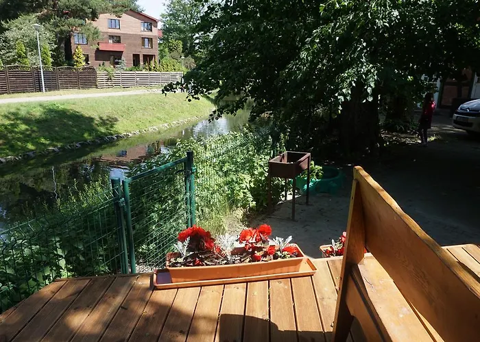 Alejos Namelis Παλάγκα