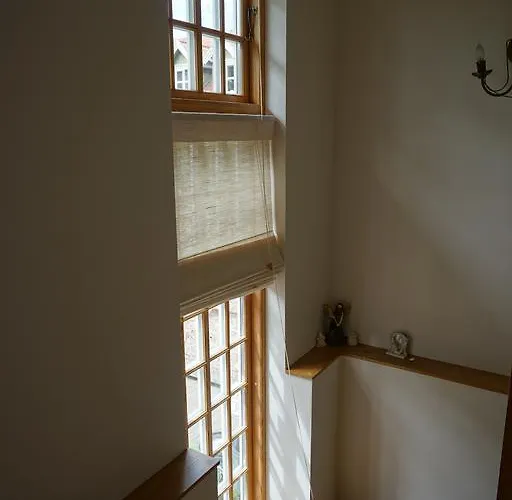 Alejos Namelis Παλάγκα