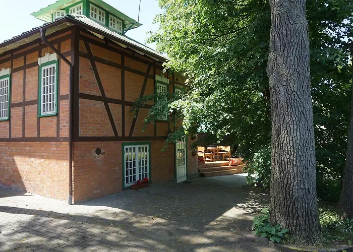 Alejos Namelis * Παλάγκα