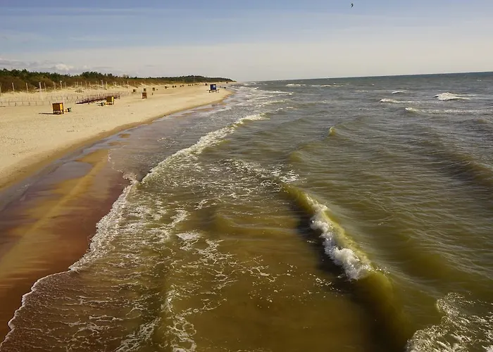 Alejos Namelis Διαμέρισμα