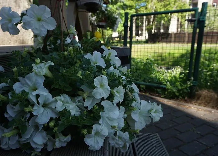 Alejos Namelis Διαμέρισμα Παλάγκα