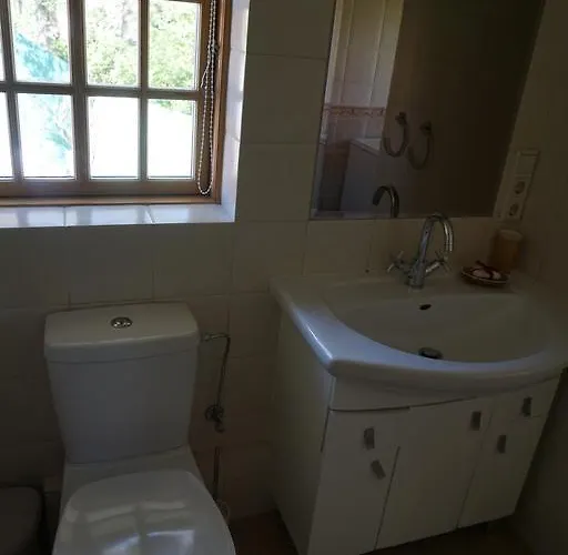 Alejos Namelis Παλάγκα